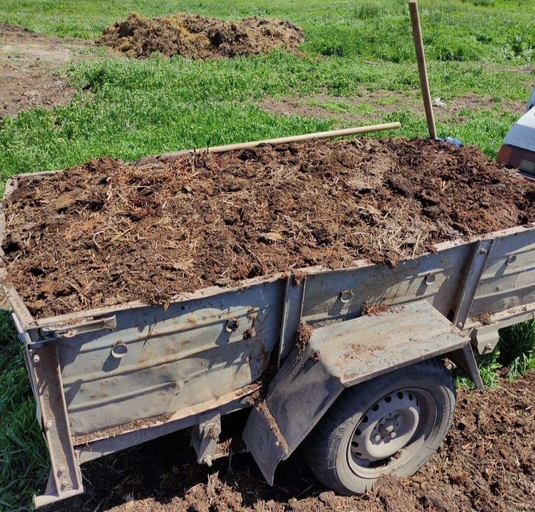 Продам Перегной, Песок, Чорнозем, торф,торфо крошка, навоз в мешках
