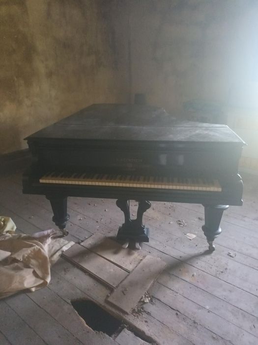 Piano de Cauda Bechstein