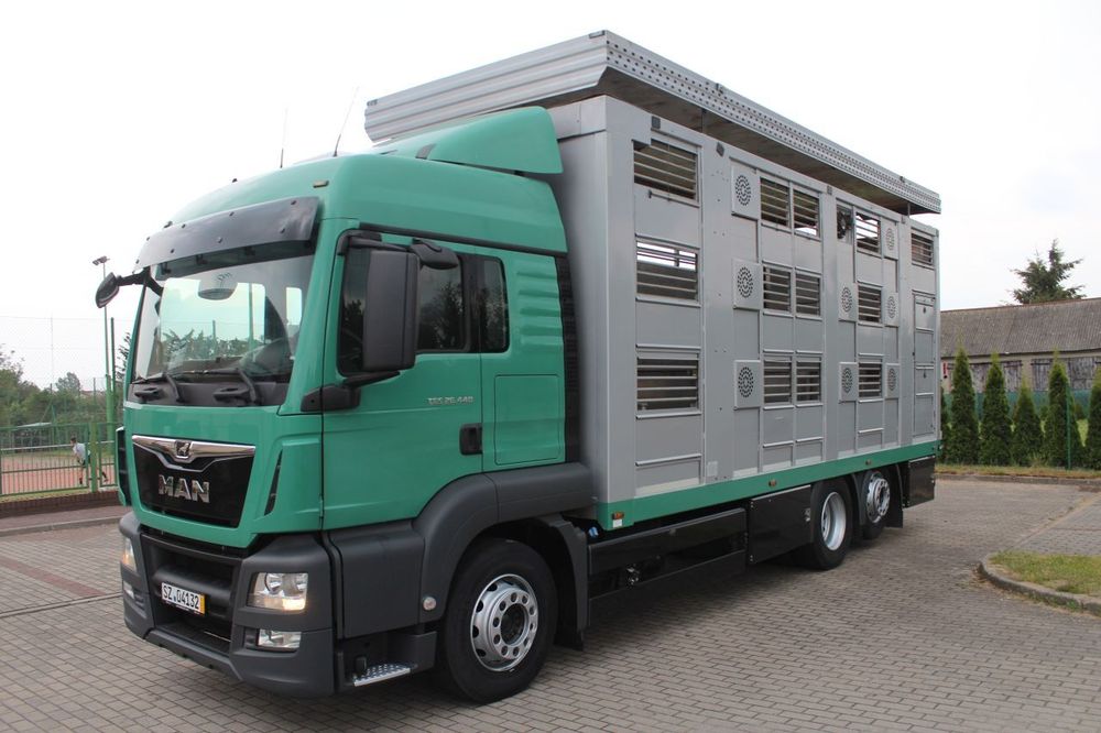 MAN TGS 26.440 DO ŻYWCA ZWIERZĄT BYDŁA Z NIEMIEC  Dach Podnoszony, Manual, Euro 6, zadbany
