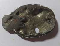 Скам'янілий сегмент амоніта з піритами
