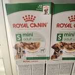 Karma Mokra Royal Canin mini adult S