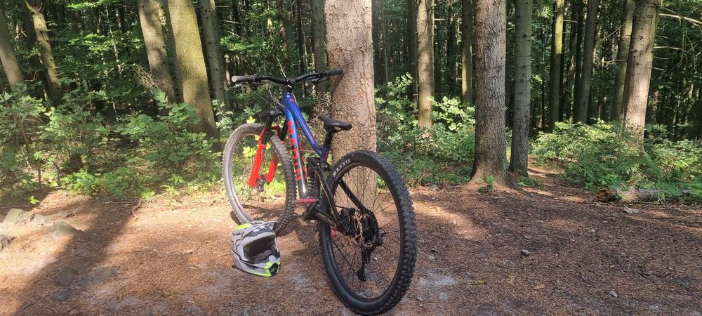 Rower Marin Alpine trail xr 2023 M