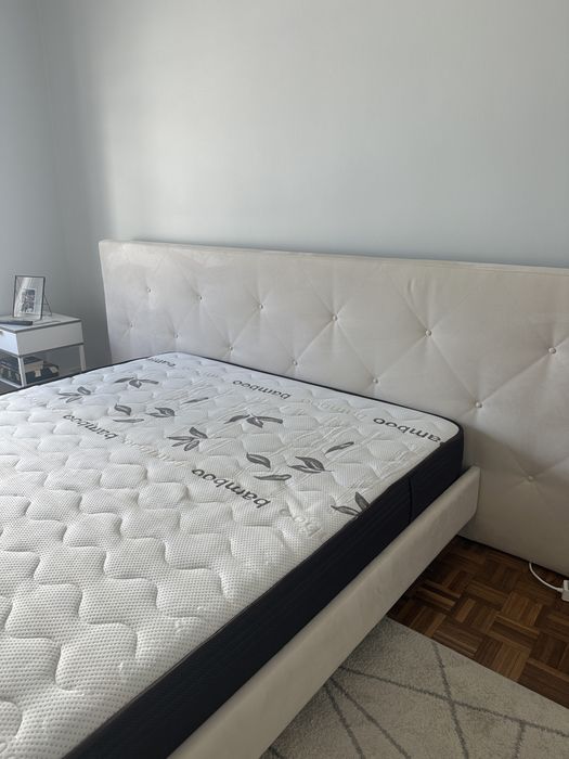 Cama antarte + colchão