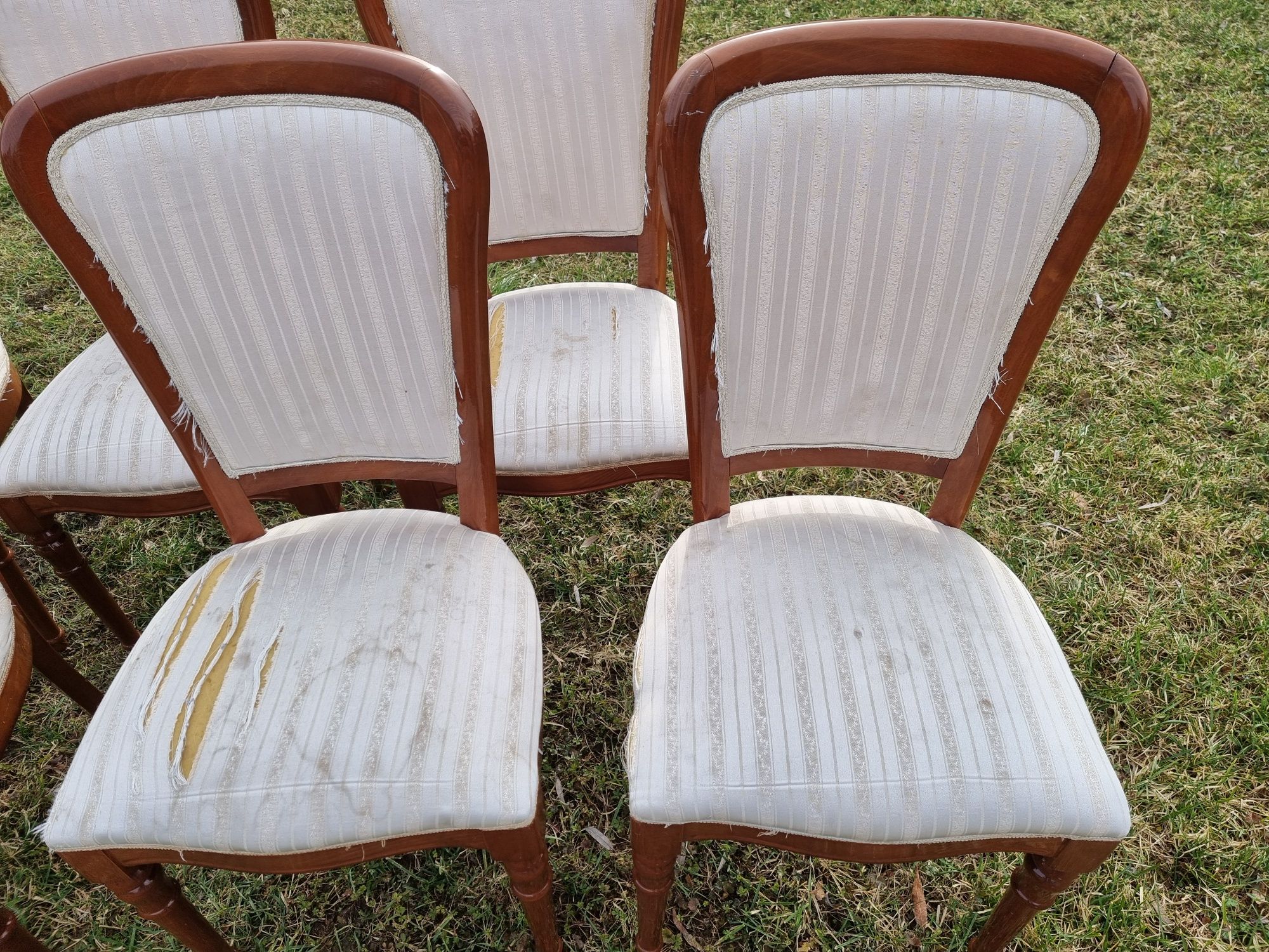 6 sztuk krzesła eleganckie drewniane