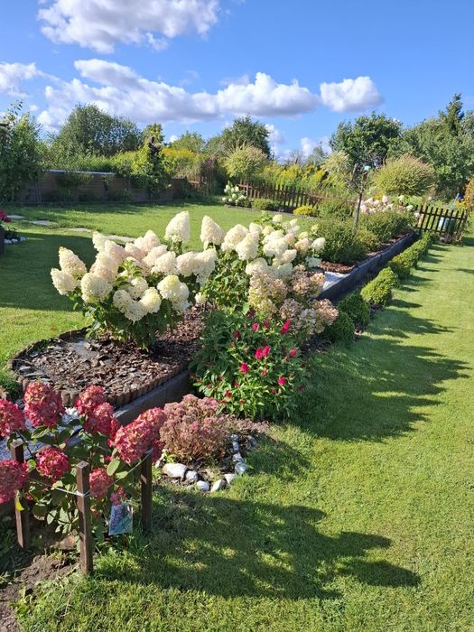 Piękna działka ROD z widokiem na jezioro 437 m2