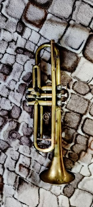 Духова труба ленінградська