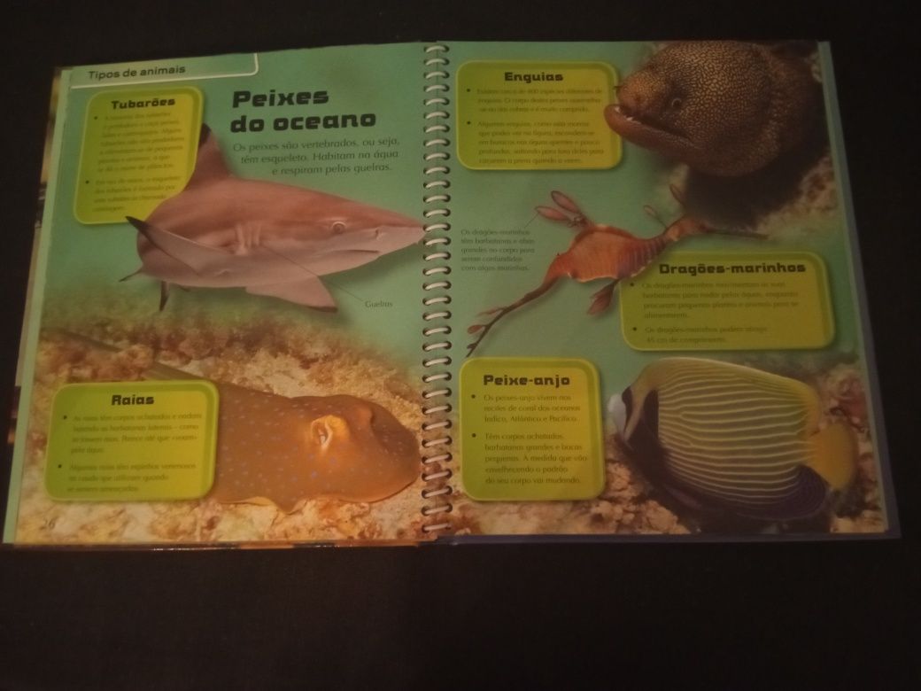 Livro" O Mundo Animal" Usado