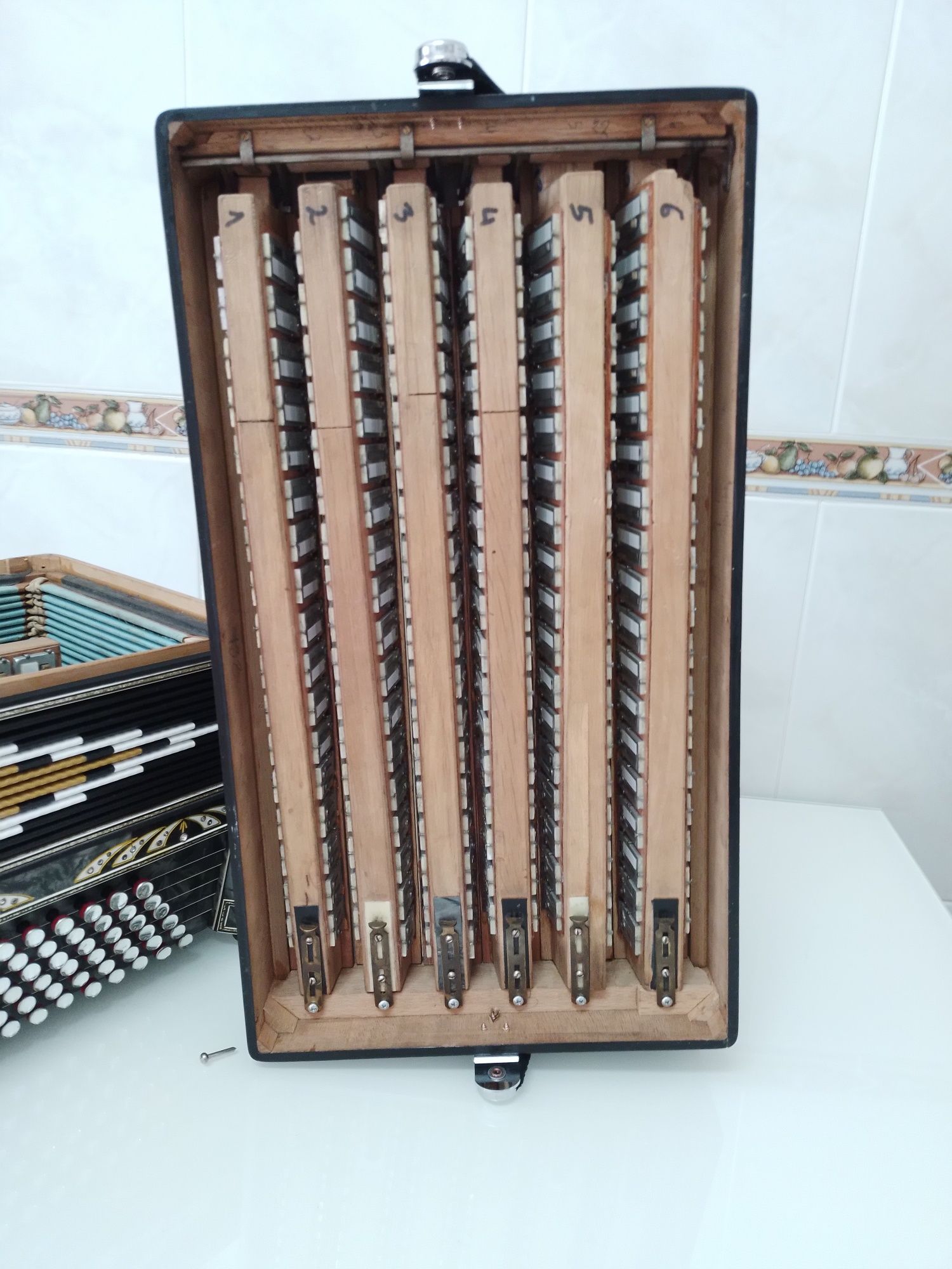 Acordeon/Acordeão    BERNARDO