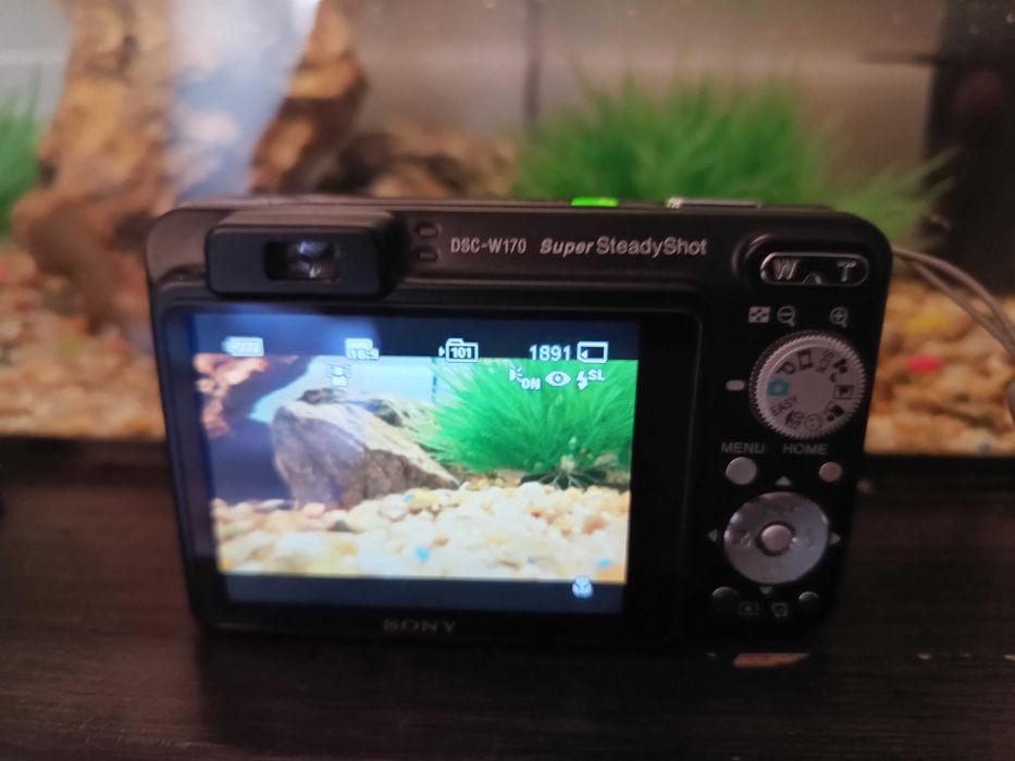Aparat Sony Cyber-shot DSC-W170 10.1 mpx