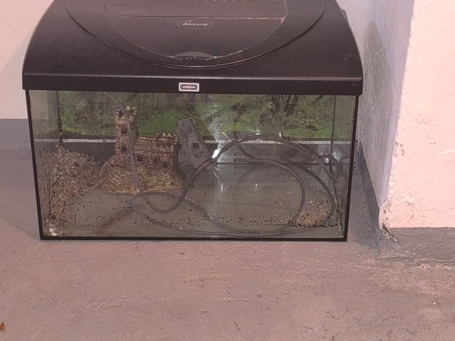 Akwarium diversa 60x30  60l