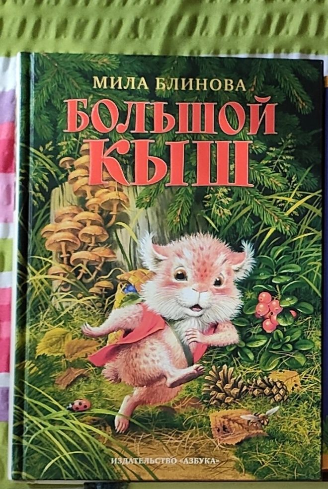 Дитяча книга Большой кыш