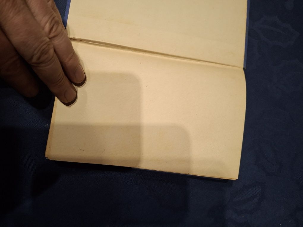 Manuel Ribeiro livro a revoada dos anjos