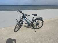 Rower Crossfire unibike rama 17"