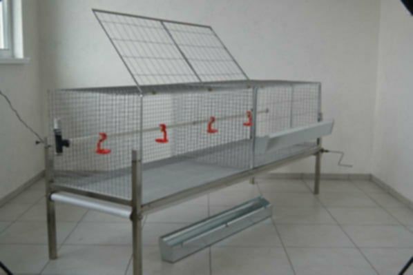 Клітки для курей.