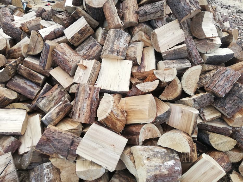 Drewno drzewo opałowe kominkowe