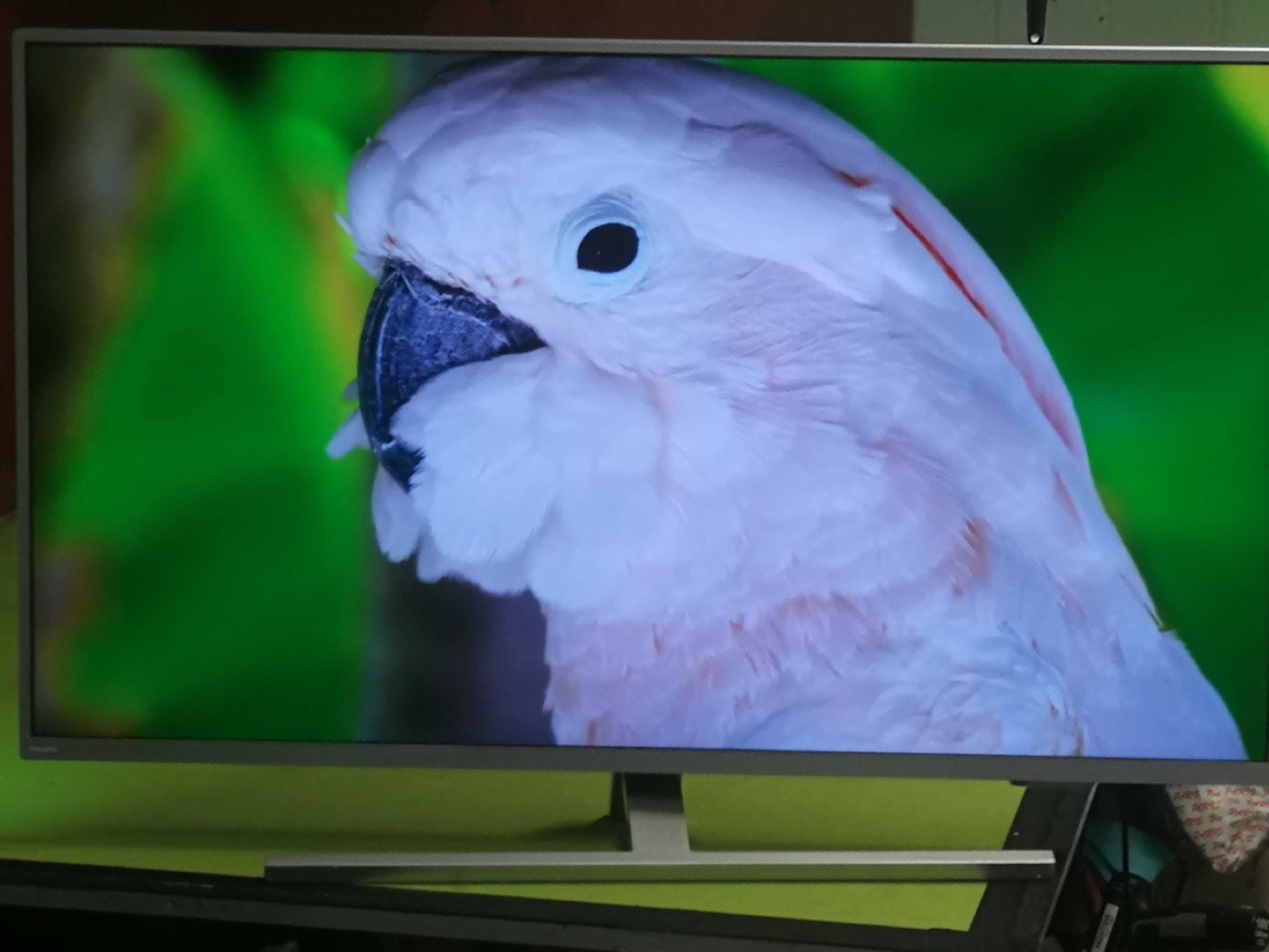 Telewizor Philips 58 cali 4K UHD, Android, Ambiliht3