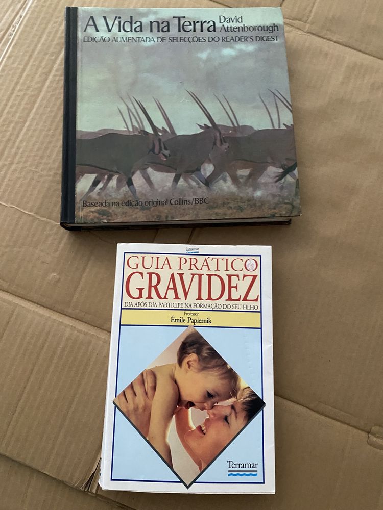 Dado gigante  jogos , tochas , Livro vida na terra ,gravidez , pedagógicos, resmas papel   e flauta doce