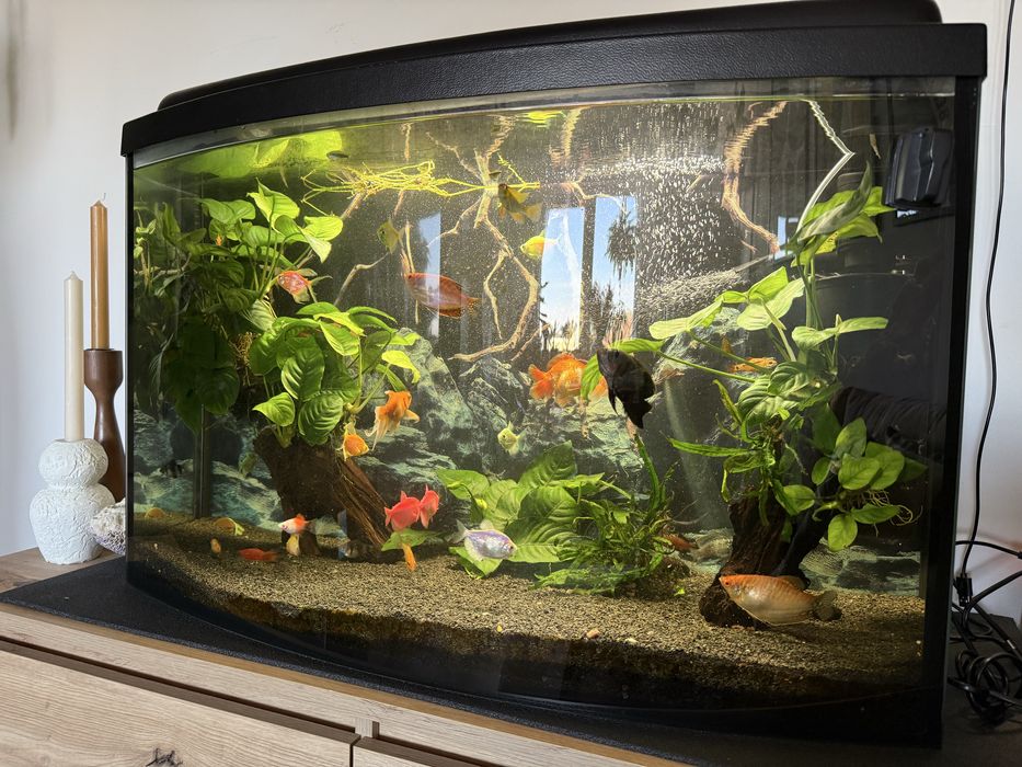 Akwarium 120l 80x50x40