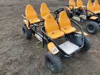 Gokard gokart gokardy Berg, sprzedam biznes