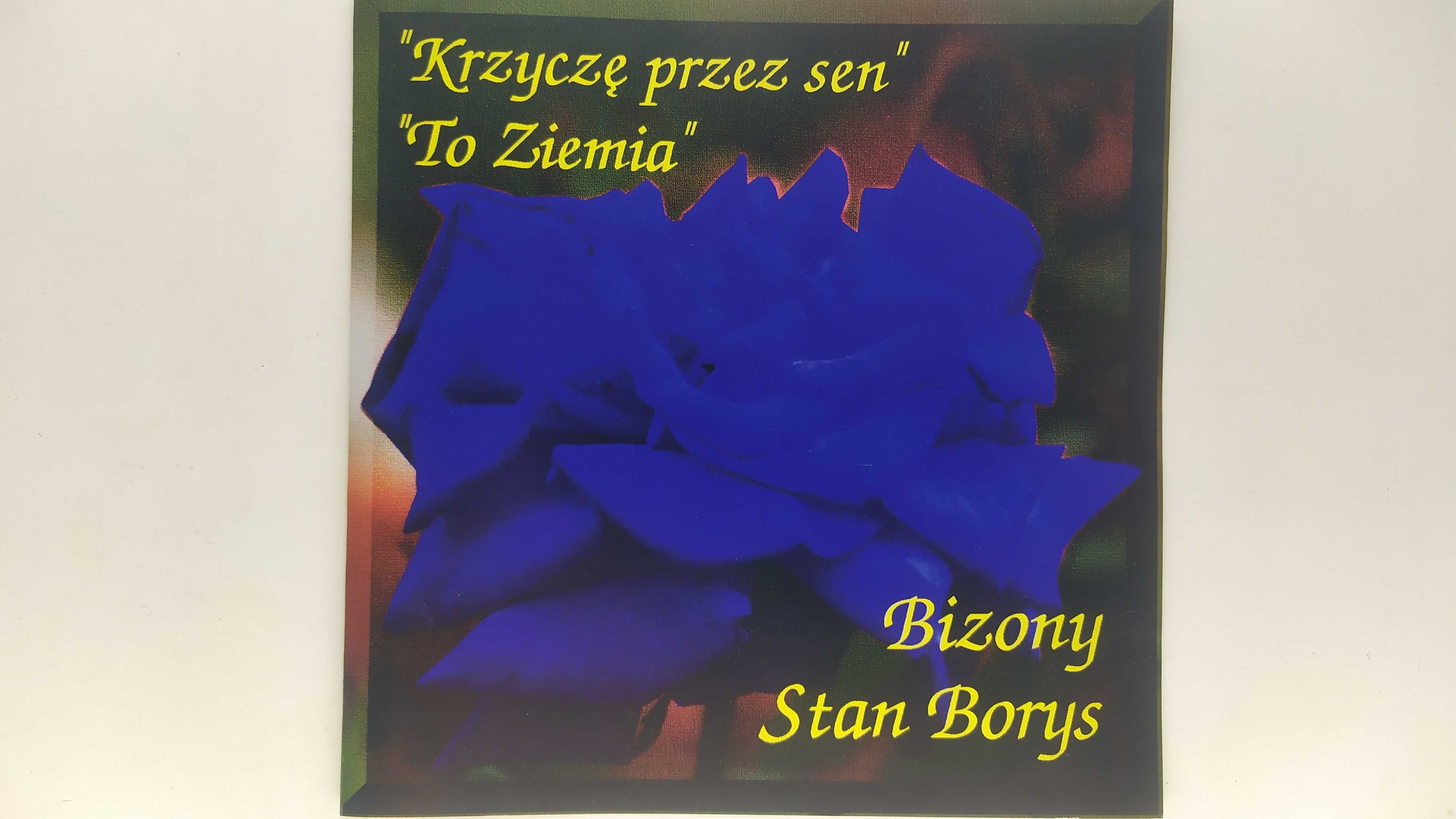 Bizony Stan Borys Krzyczę przez sen To ziemia Andromeda