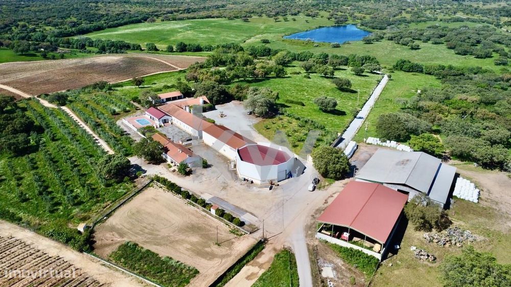 Herdade no coração do Alentejo de 307 hectares, com produção vinícola,