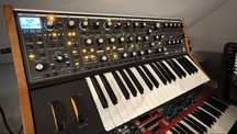 Moog Subsequent 37 - stan indeslny
