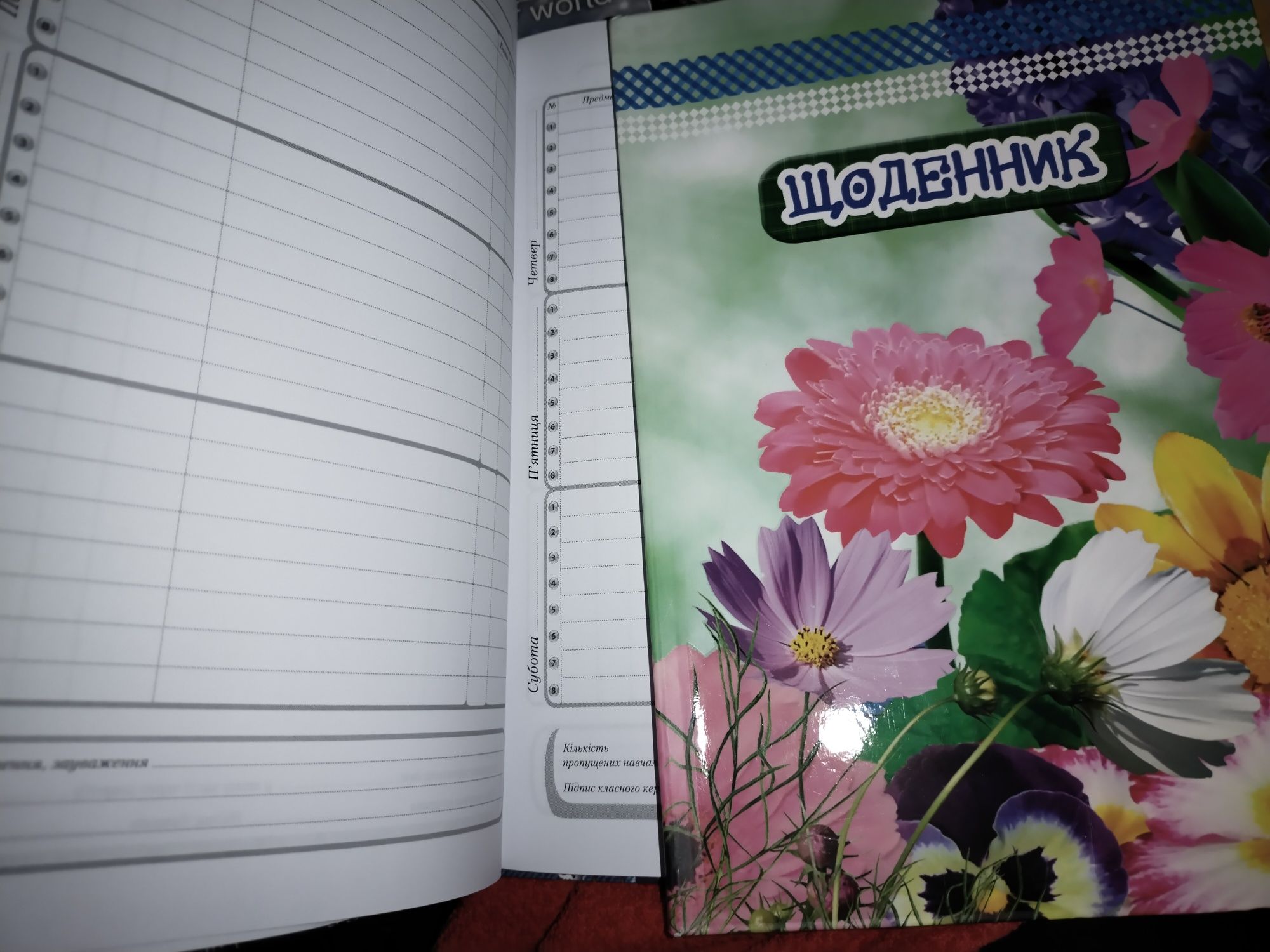Дневник для школьников