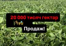Продаж! Аграрної землі 20 000 тисяч ГА. Приватна властність