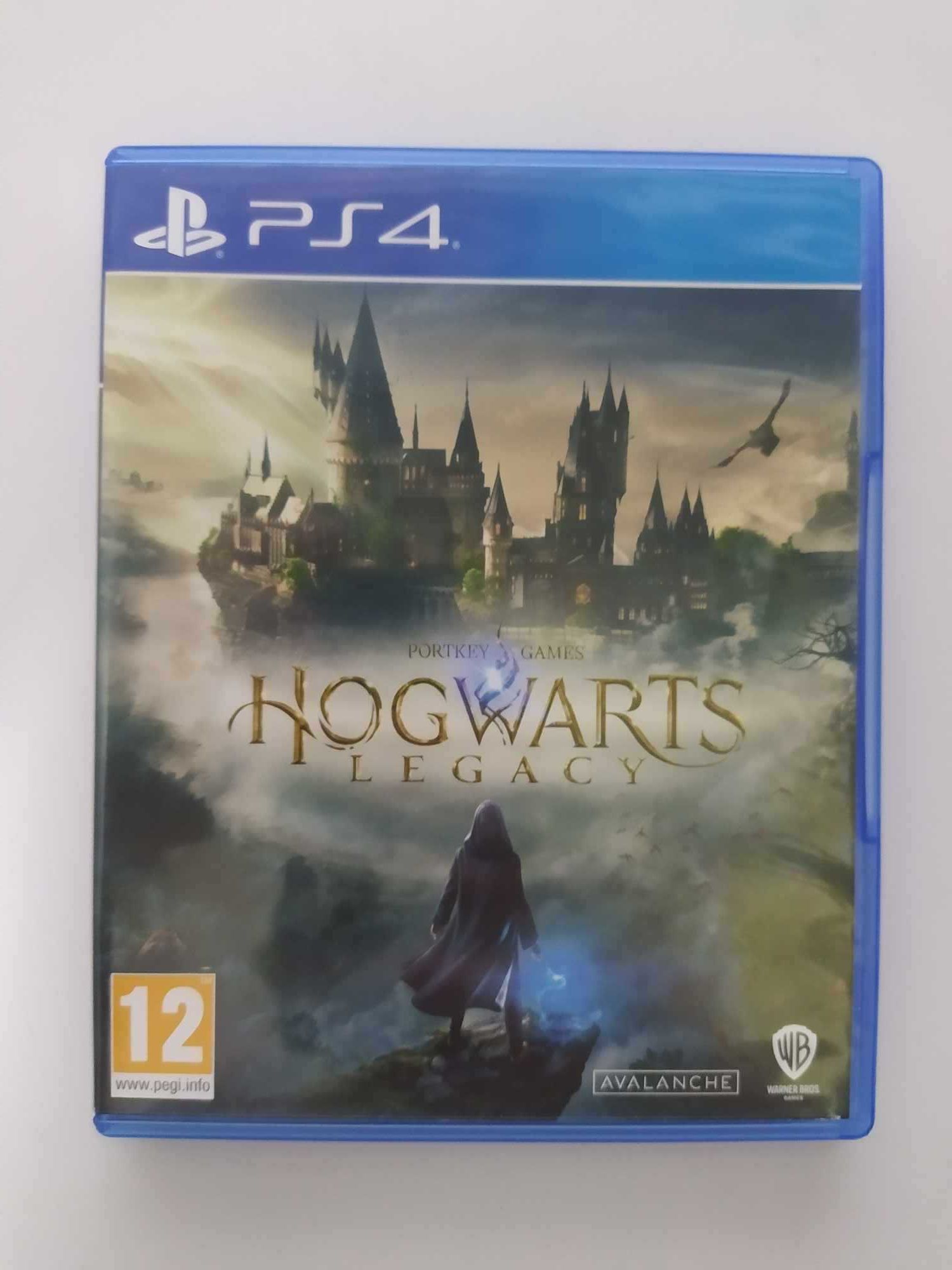 Dziedzictwo Hogwartu PS4 Polskie napisy w grze Hogwarts Legacy ps5