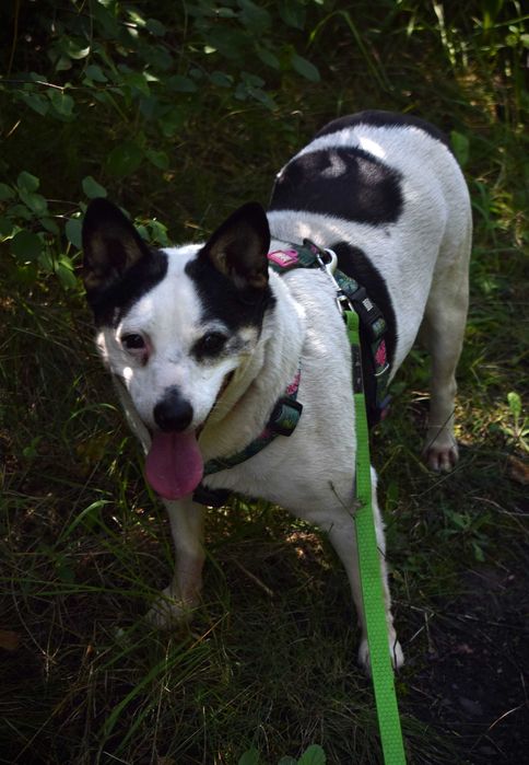 Czy ktoś ją jeszcze pokocha?