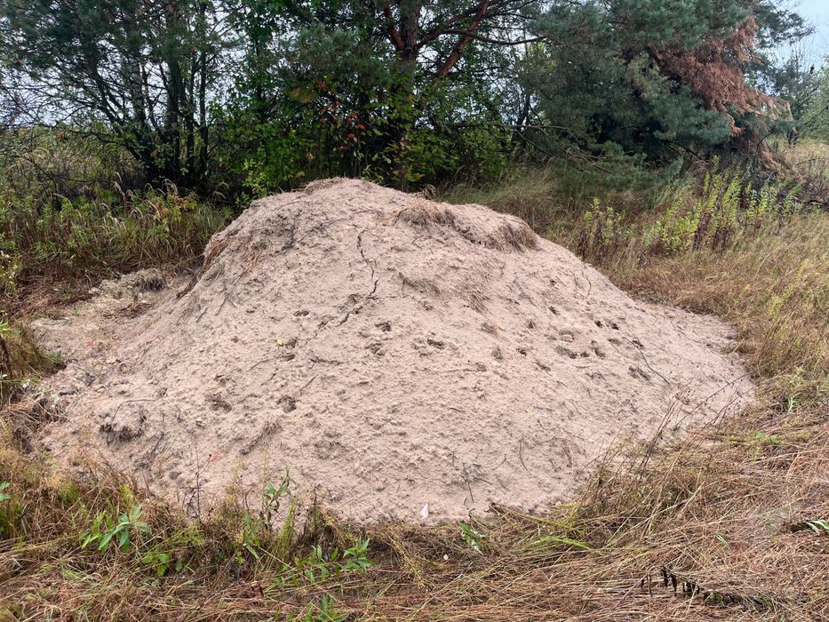 Ziemia na wyrównanie terenu