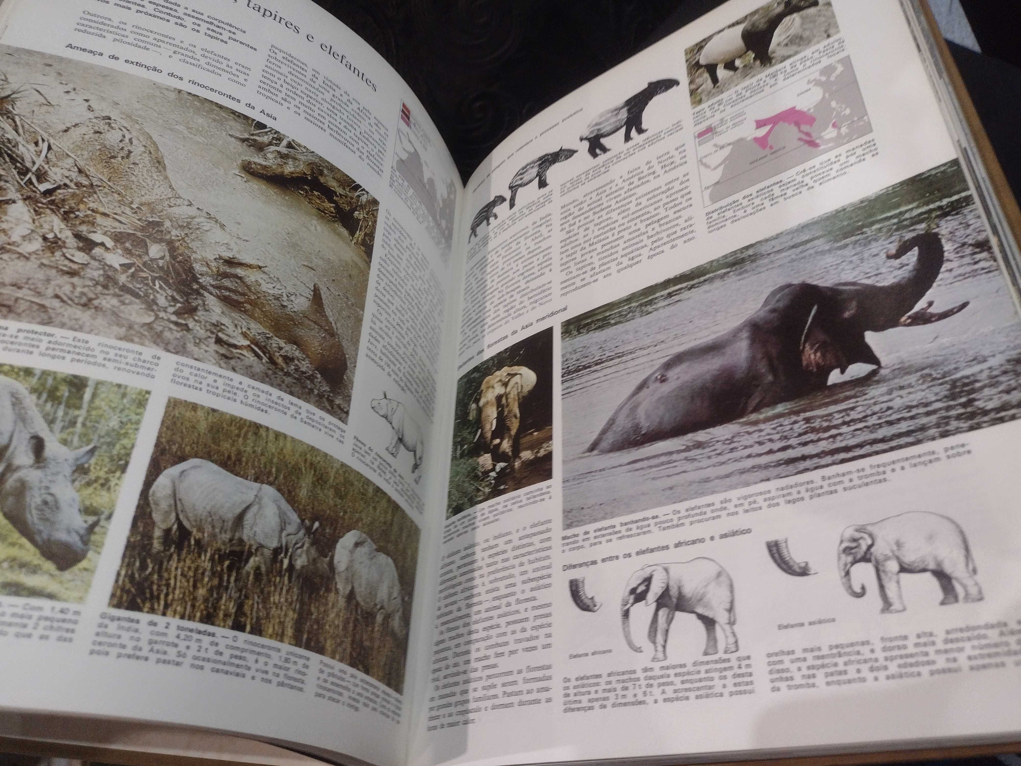 Livro Animais da Terra