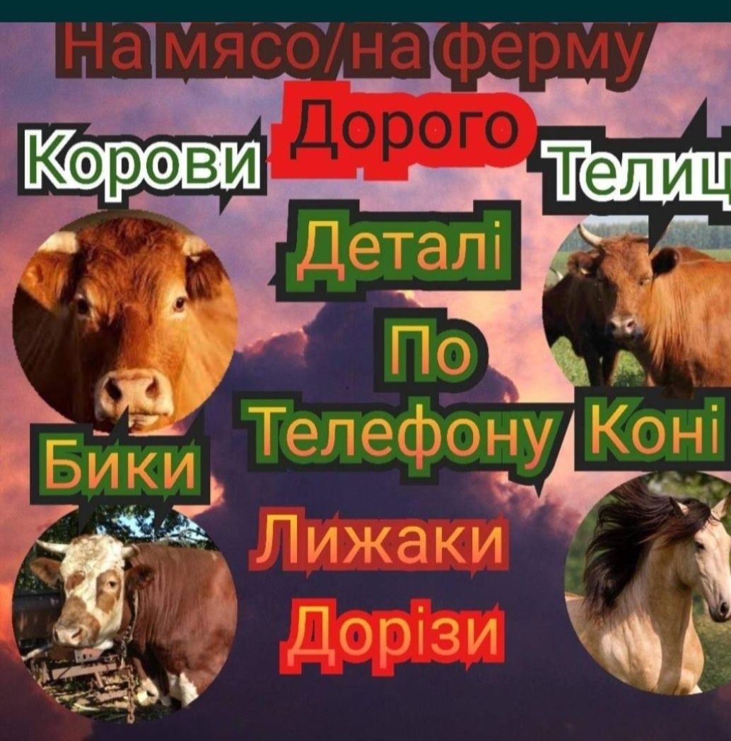 Худобу Худобу Худобу