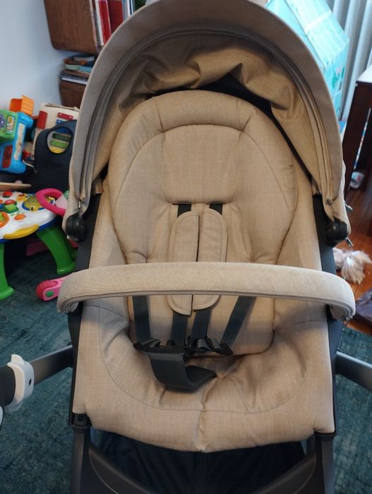 Carrinho bebe stokke trailz