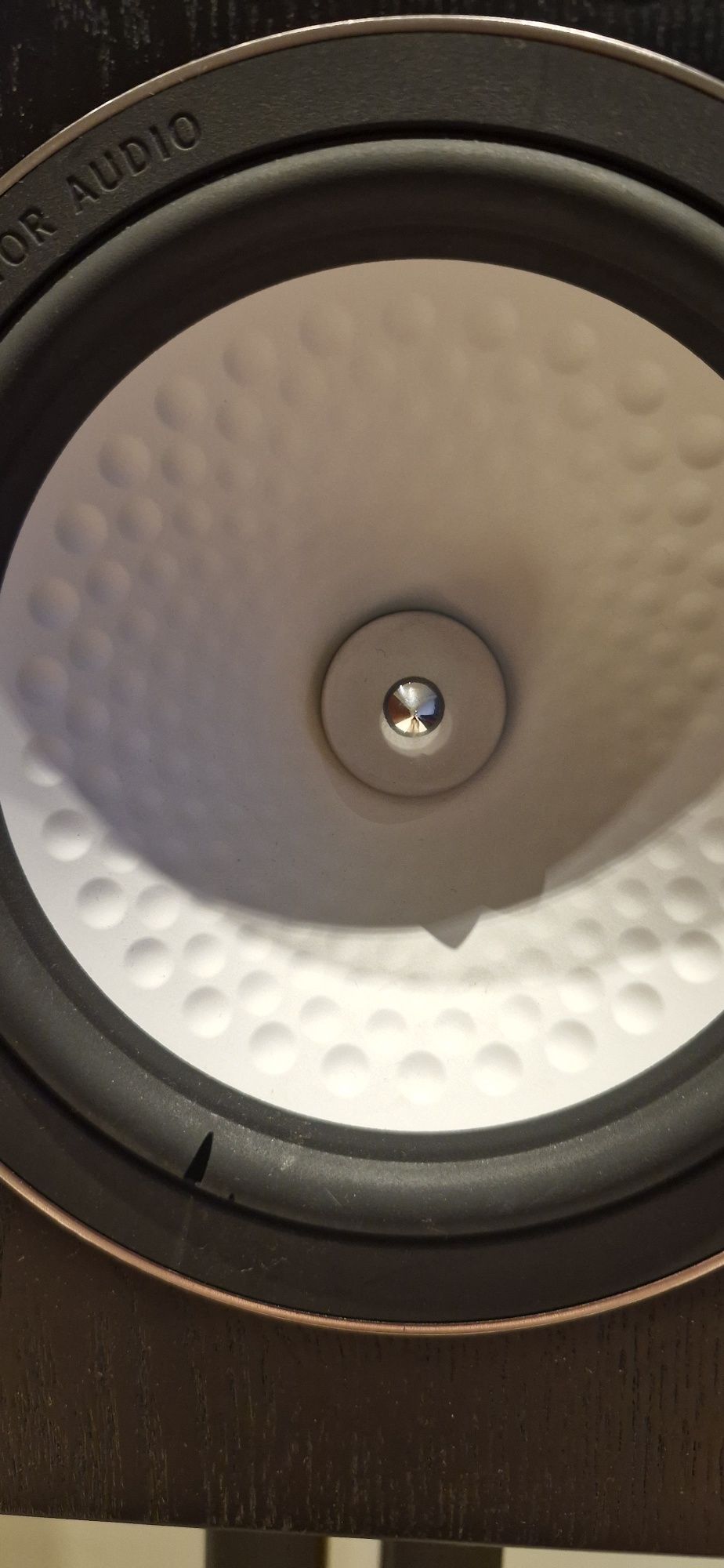 Kolumny Monitor Audio RX1 na stojaku