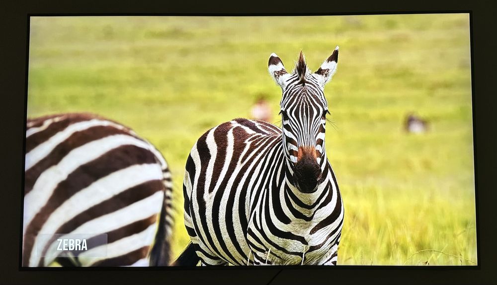 Telewizor SAMSUNG QE65Q77B 65" QLED 4K 120HZ Tizen TV