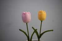 Tulipas em Crochet