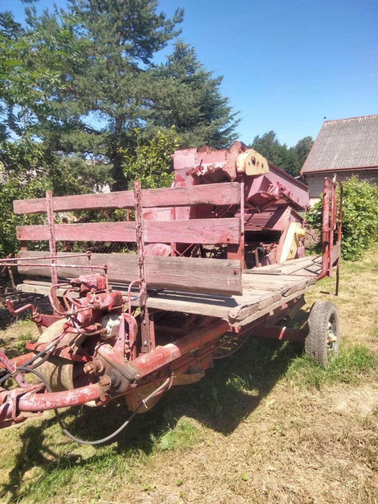 Kombajn do ziemniaków hassia