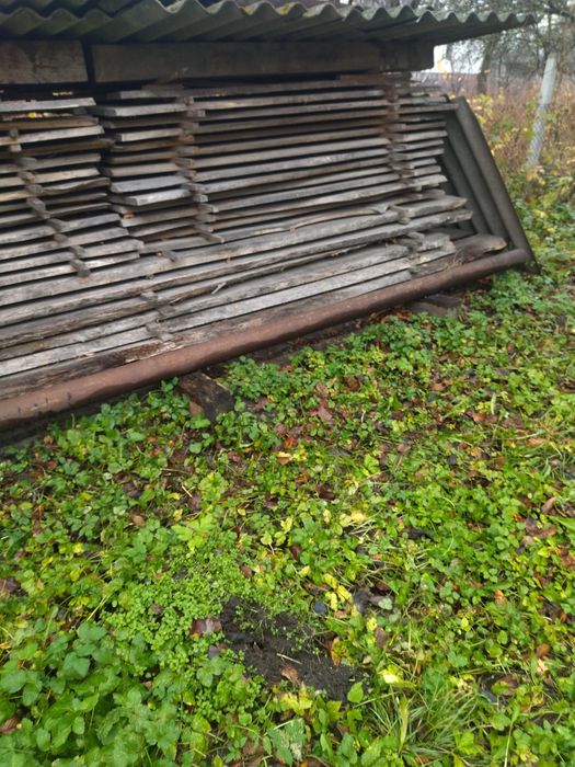 Дошка липова, суха.