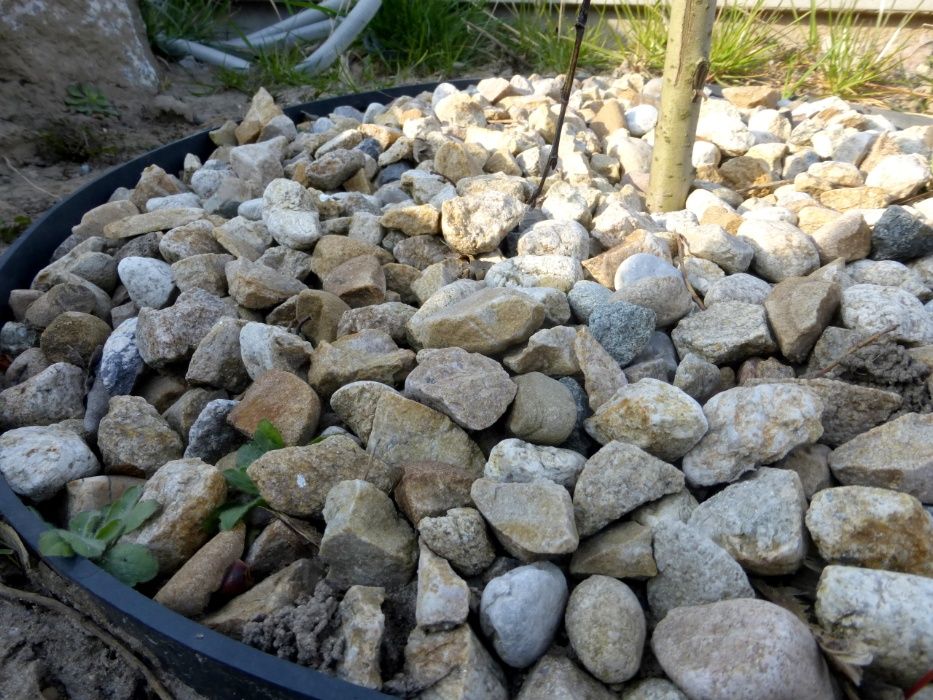 Otoczak Miodowy Grys ozdobny Granit MIX Kruszywo
