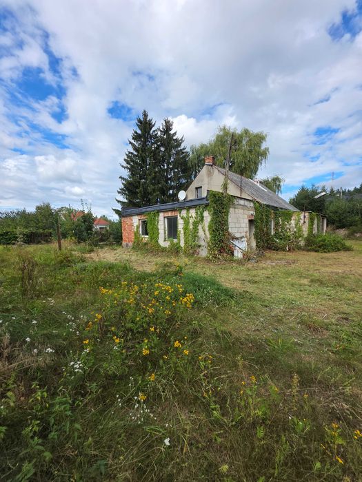 Na sprzedaż nieruchomość Świekatowo