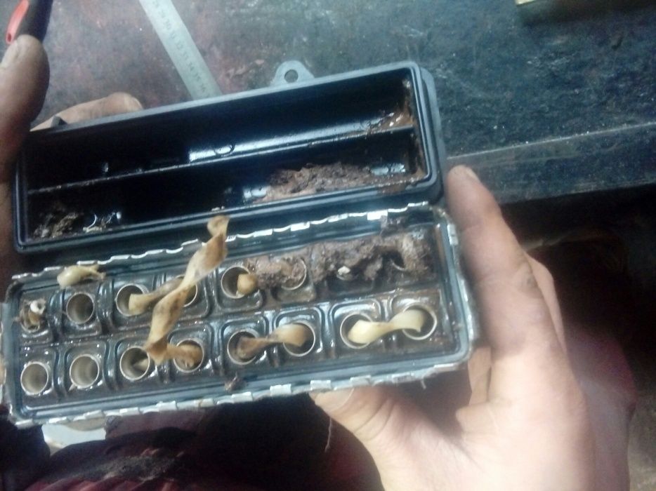 Ремонт радиаторов охлаждения,печек. Интеркулеры. Кондиционеры.Аргон