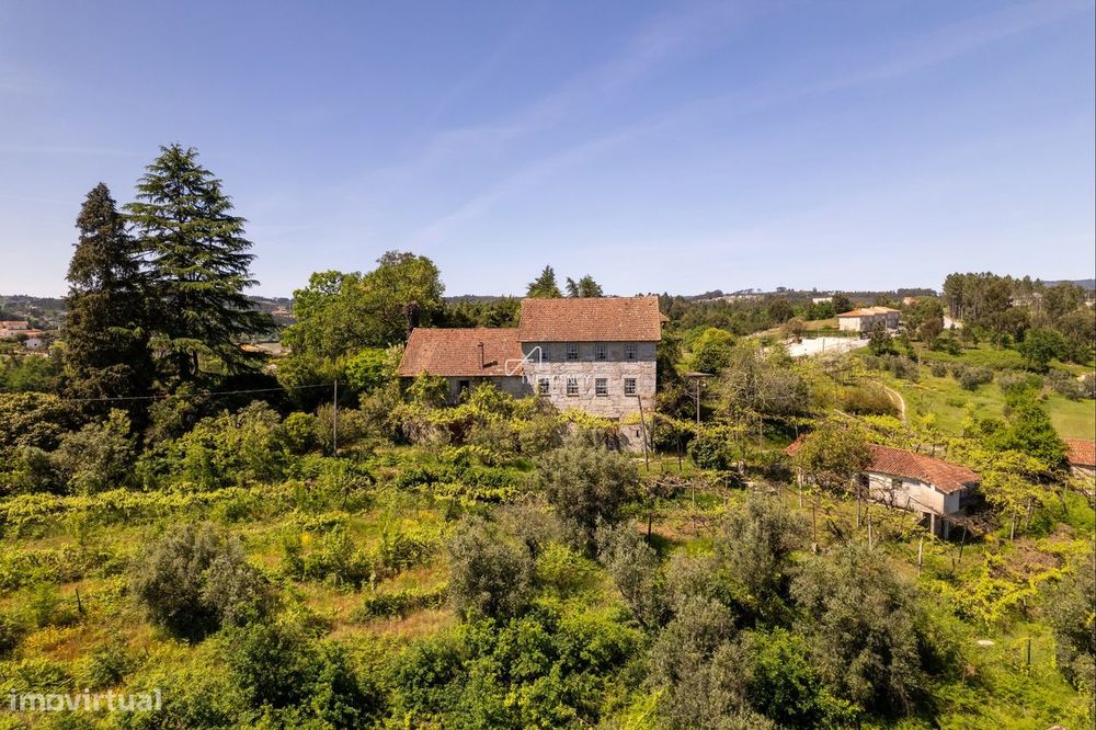 Quinta Autêntica em Amarante: 6 Hectares com Casa Senhorial, Proprieda