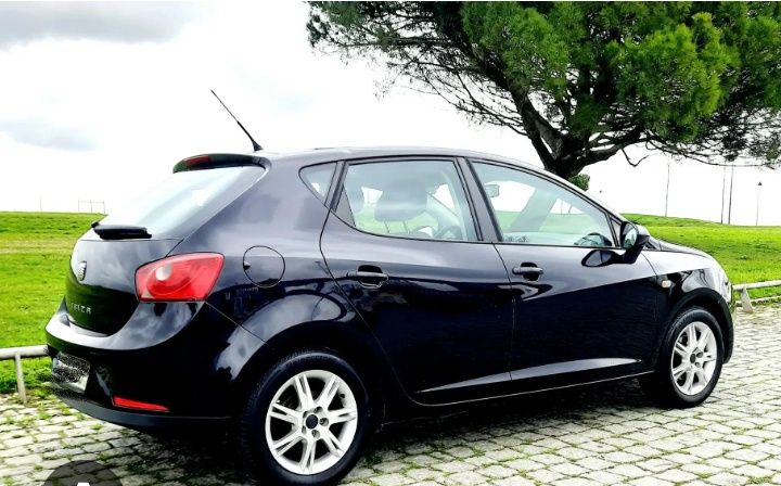SEAT ibiza 1.6 TDI 2010