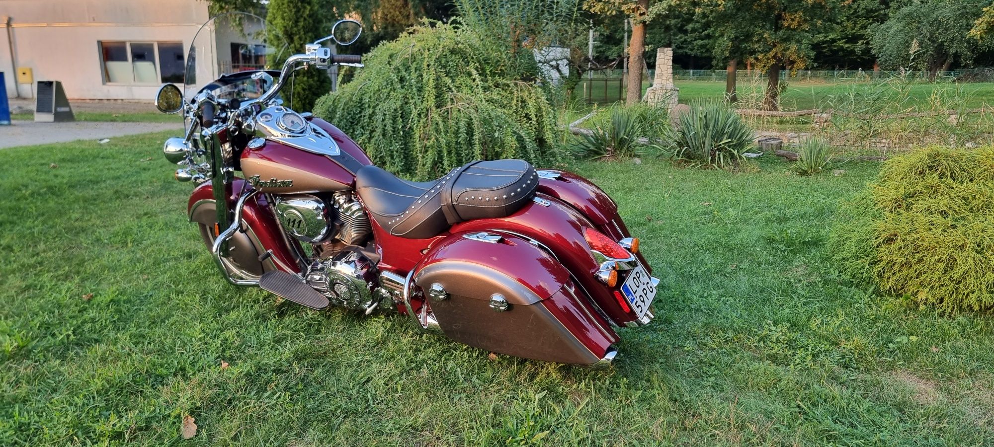 Indian Springfield 2020