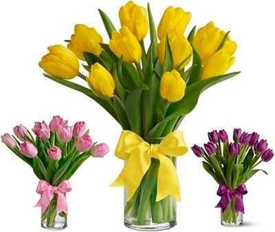 Тюльпан, роза, эустома оптом и розница.