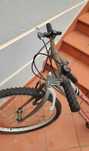 Bicicleta adulto