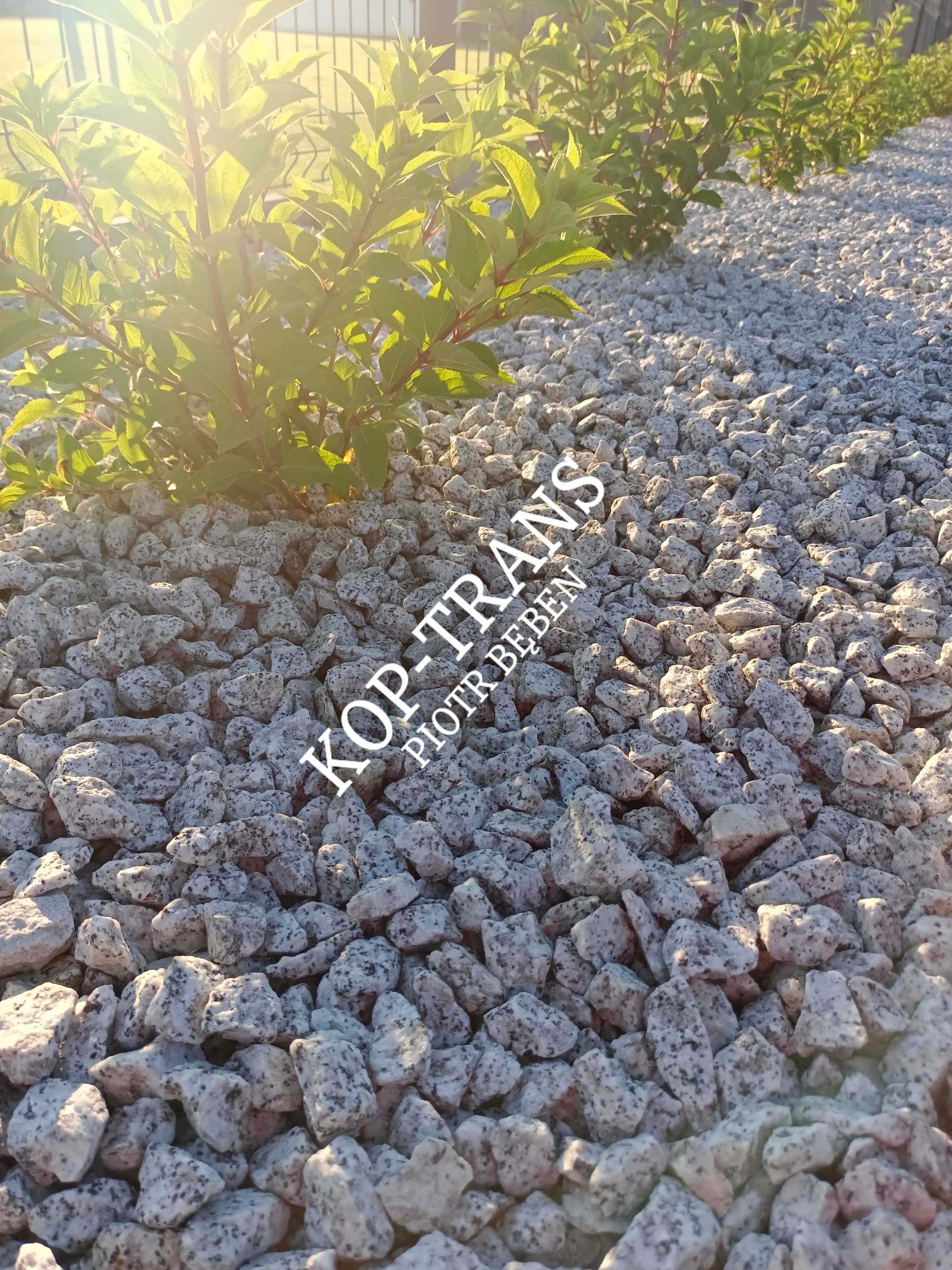 Grys granitowy 16-22 granit ozdobny dalmatyńczyk