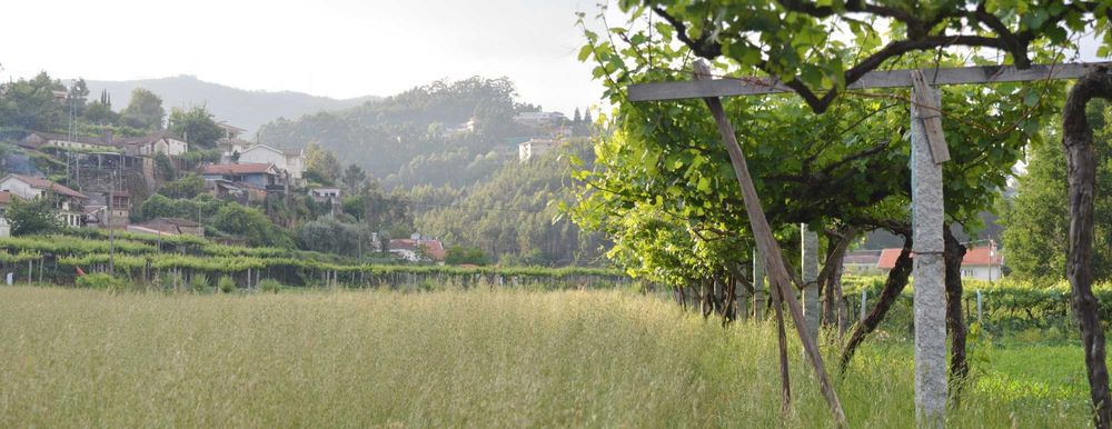 Quinta Rústica com Moradia para restauro  e Acesso ao Rio