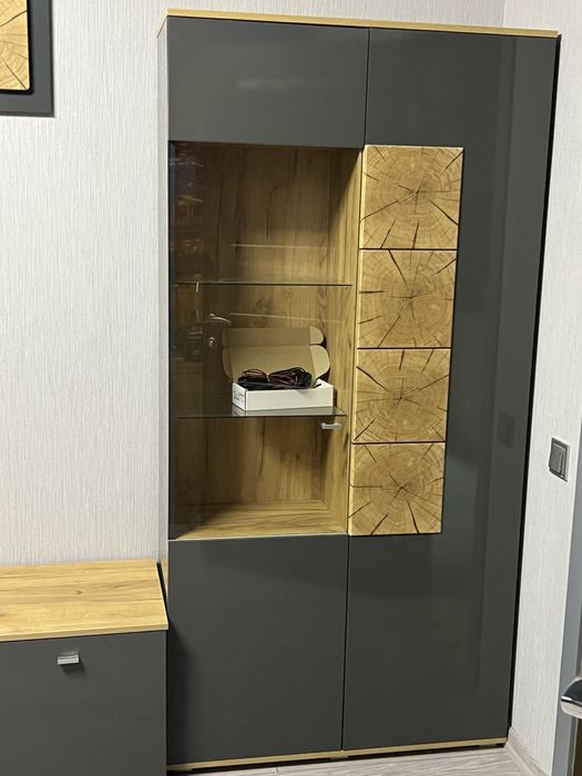 Меблі у вітальню або спальню «Фіджі» фабричні